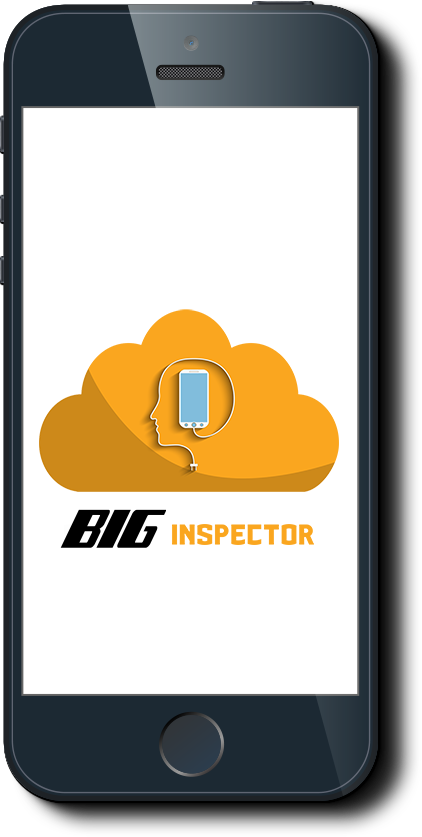 BIG Inspector